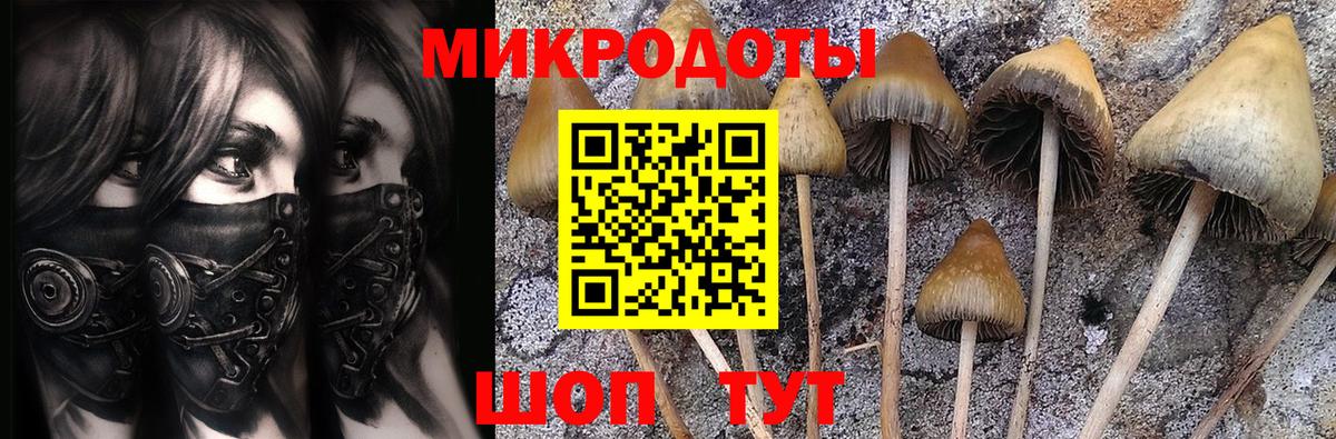 Галлюциногенные грибы Cubensis Владивосток