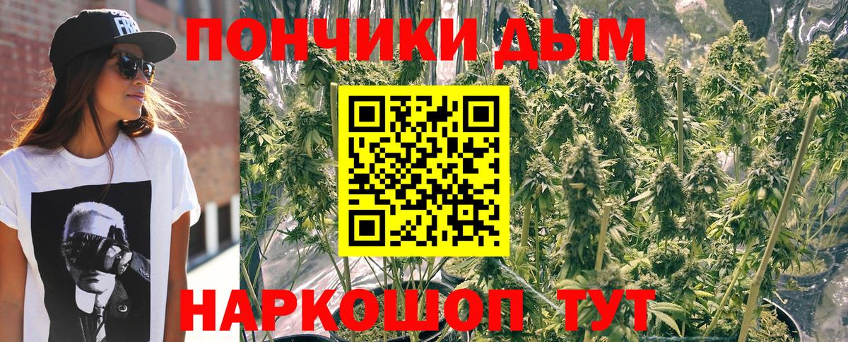 Бошки марихуана план Владивосток